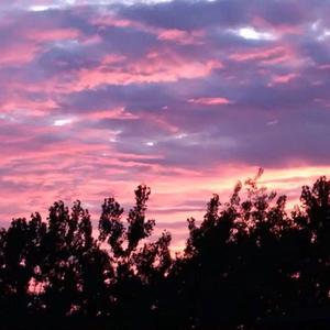 舒淇A|换脸A∨性图
